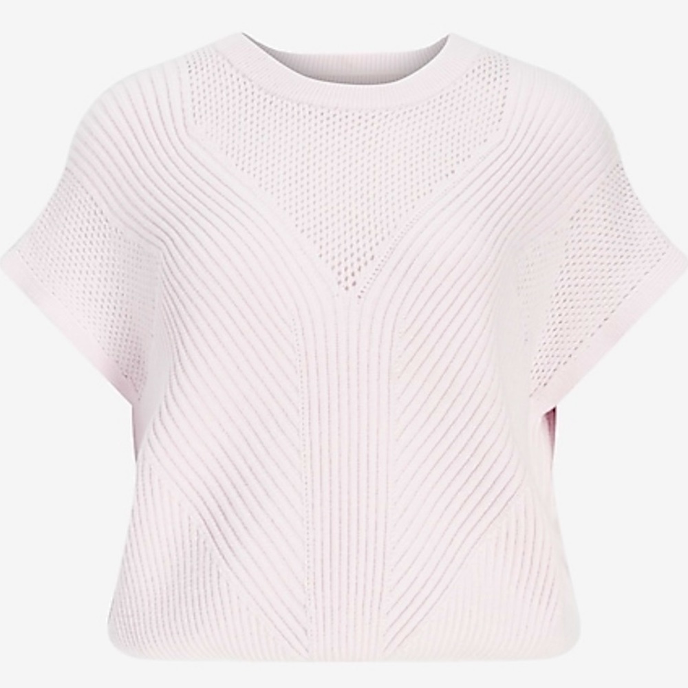 Express short sleeve sweater